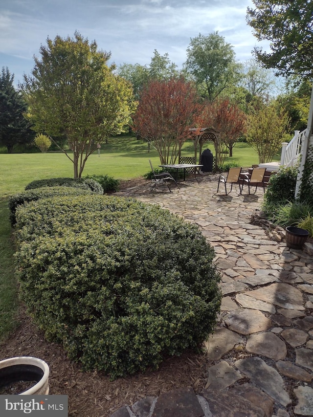 view of yard featuring a patio