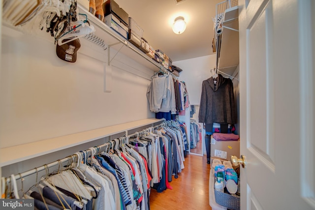 spacious closet with hardwood / wood-style floors