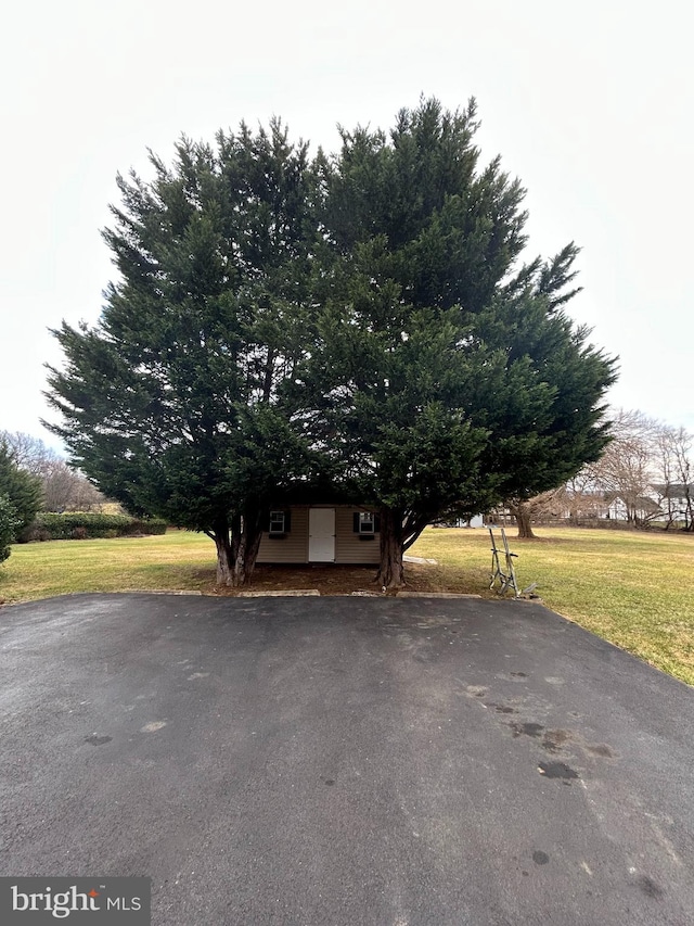 view of front of property featuring a front lawn