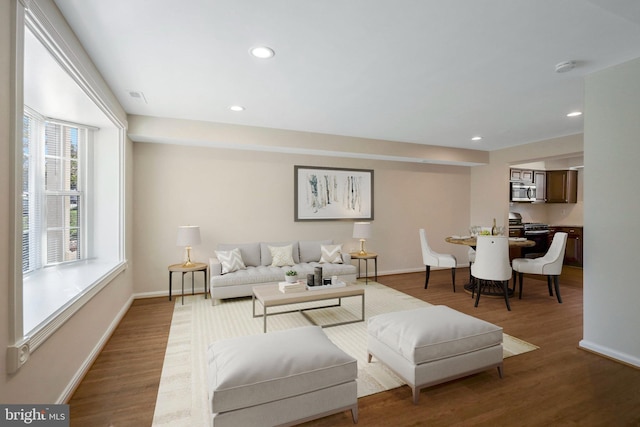 living room featuring hardwood / wood-style flooring