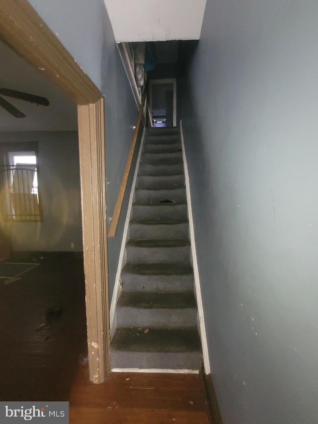 stairs featuring hardwood / wood-style flooring