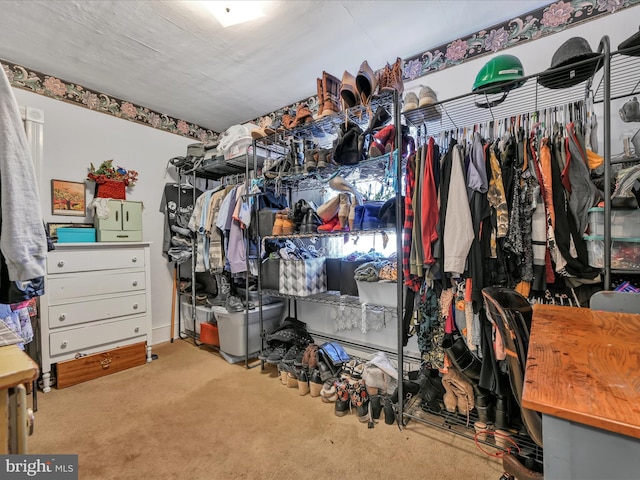 spacious closet featuring light colored carpet