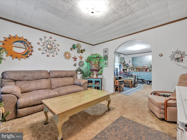 living room featuring carpet floors and ornamental molding