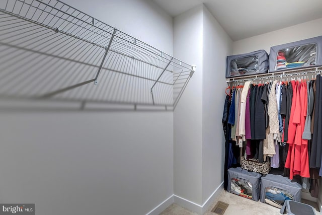 spacious closet with carpet