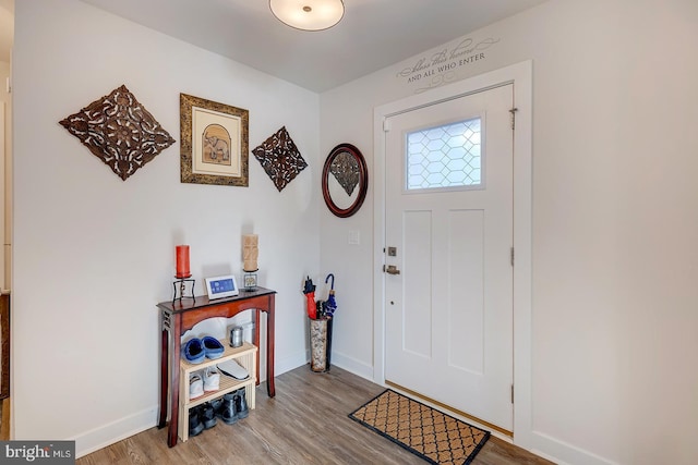 entrance foyer featuring wood-type flooring