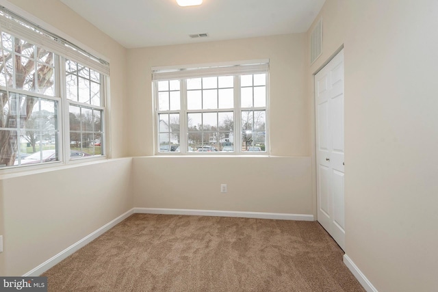 carpeted spare room featuring a wealth of natural light