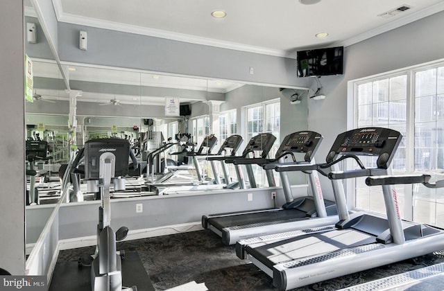 workout area featuring crown molding and ceiling fan