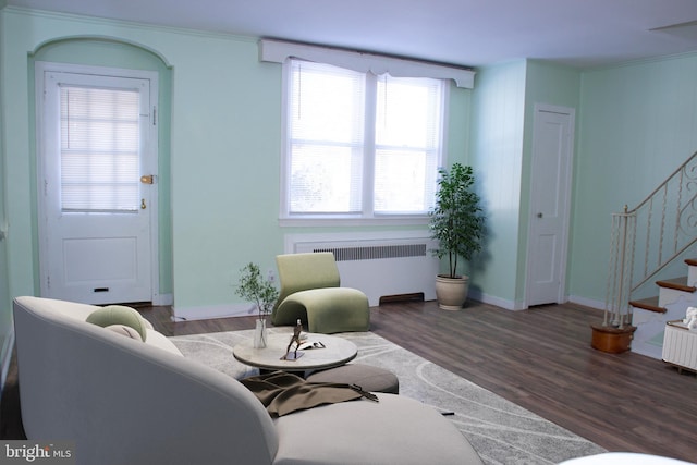 living room with crown molding, radiator, and dark hardwood / wood-style flooring