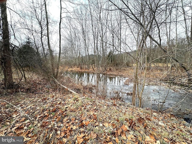 view of water feature