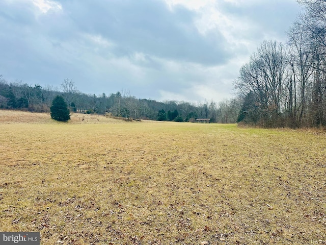 view of yard with a rural view