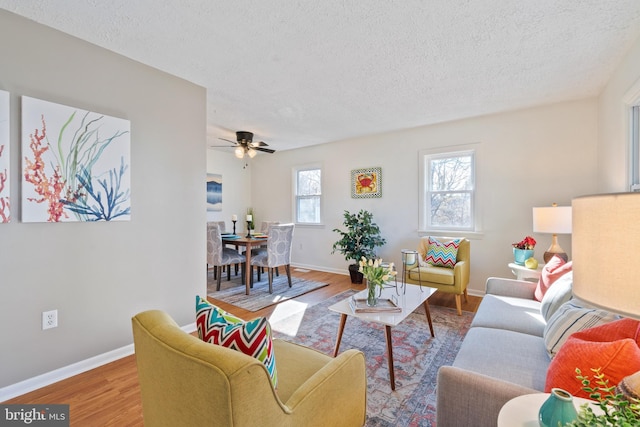 living room featuring ceiling fan, a textured ceiling, and light wood-type flooring