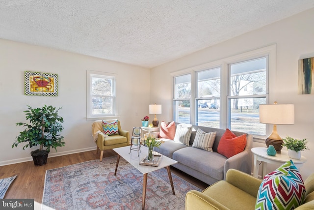 living room featuring hardwood / wood-style floors and a textured ceiling