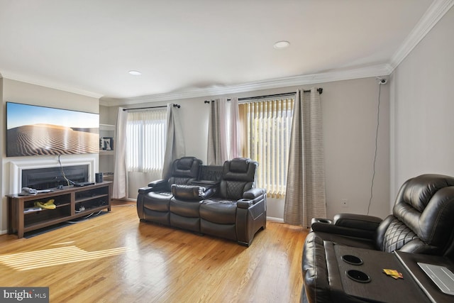 living room with crown molding and light hardwood / wood-style floors