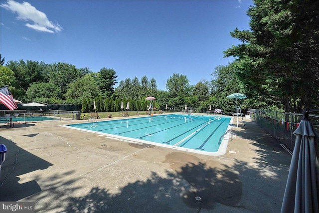 view of swimming pool with a patio area