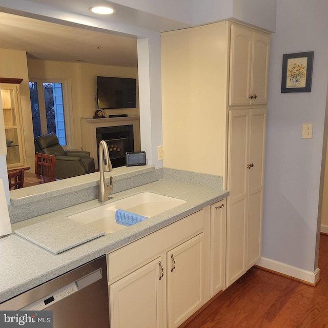 kitchen featuring hardwood / wood-style floors, sink, and stainless steel dishwasher