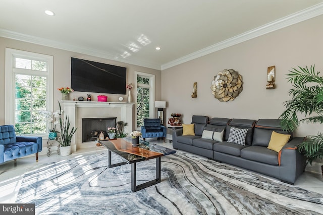 living room featuring ornamental molding