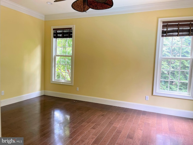 empty room with dark hardwood / wood-style flooring, ceiling fan, and crown molding