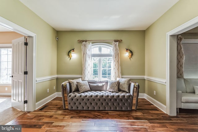 living area with dark hardwood / wood-style flooring and plenty of natural light