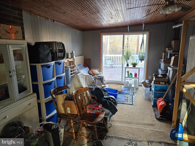 storage featuring ceiling fan