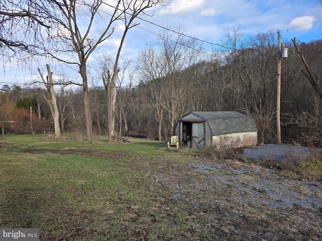 view of yard featuring a shed