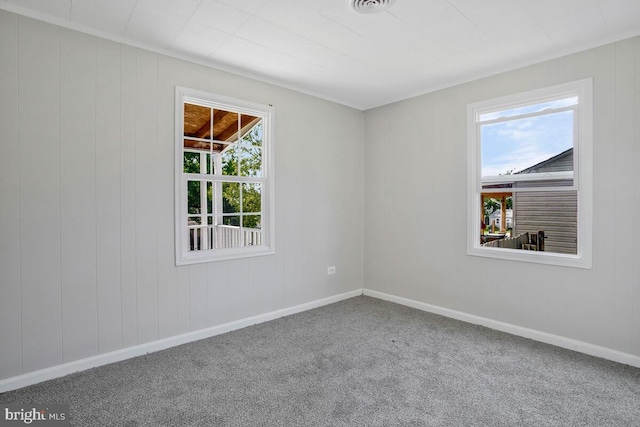 carpeted spare room featuring a wealth of natural light