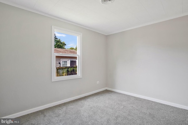 spare room with carpet and ornamental molding