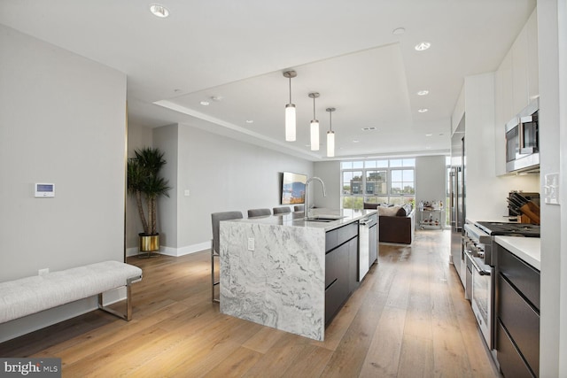 kitchen featuring sink, premium appliances, light hardwood / wood-style flooring, pendant lighting, and a center island with sink