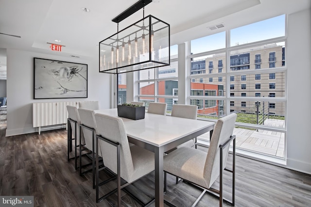 dining area with a wealth of natural light and dark hardwood / wood-style floors