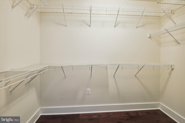 spacious closet with dark wood finished floors