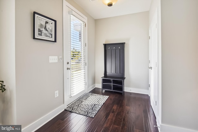 foyer with dark hardwood / wood-style flooring