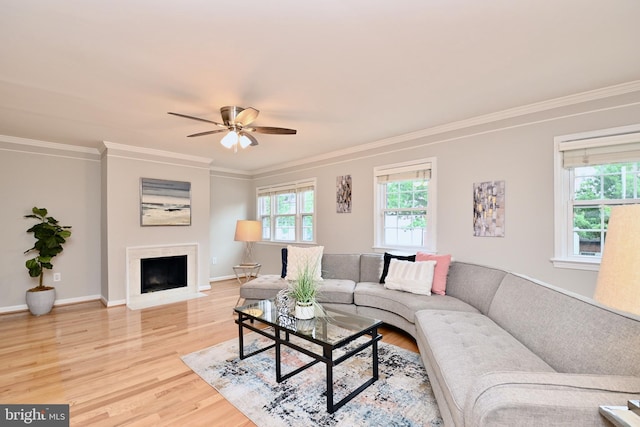 living room featuring wood-type flooring, ceiling fan, and crown molding