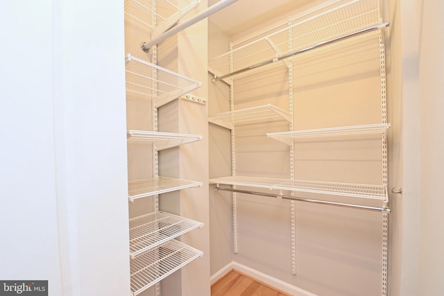 spacious closet featuring wood-type flooring