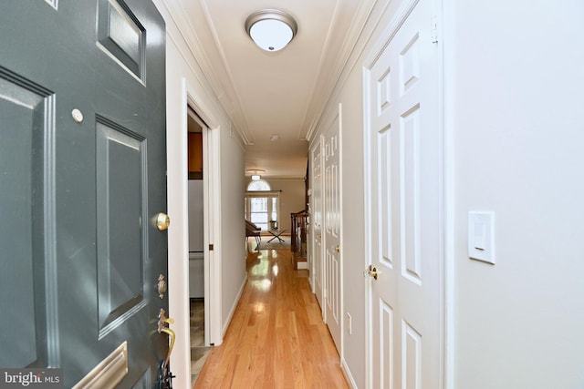 hallway featuring light hardwood / wood-style floors and ornamental molding