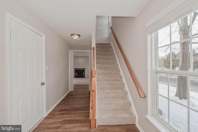 stairway featuring hardwood / wood-style flooring