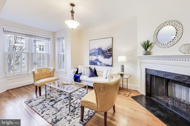 living room with hardwood / wood-style flooring