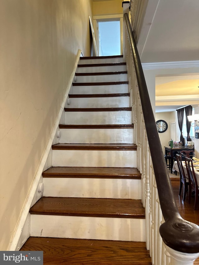 stairs featuring ornamental molding