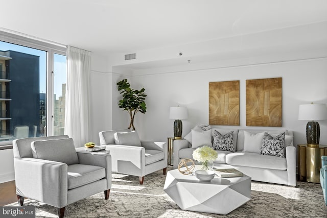 living room featuring hardwood / wood-style floors