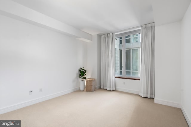 carpeted spare room with a wealth of natural light