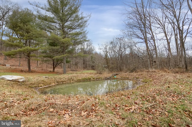 view of water feature