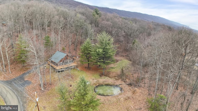 aerial view with a mountain view