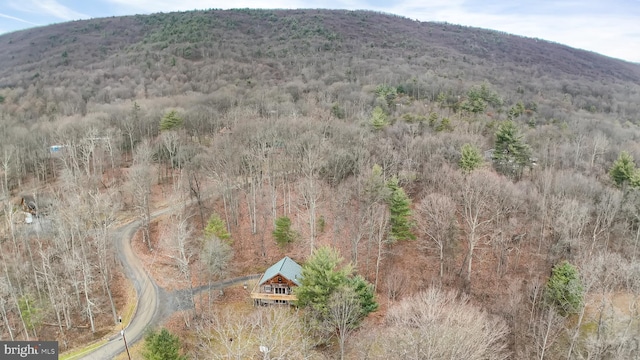 property view of mountains