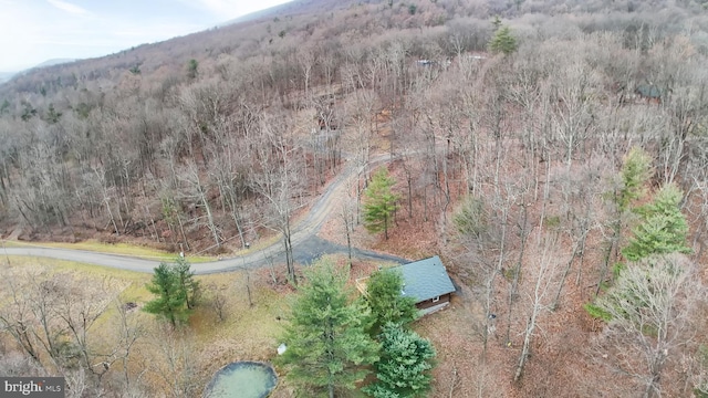 birds eye view of property featuring a mountain view