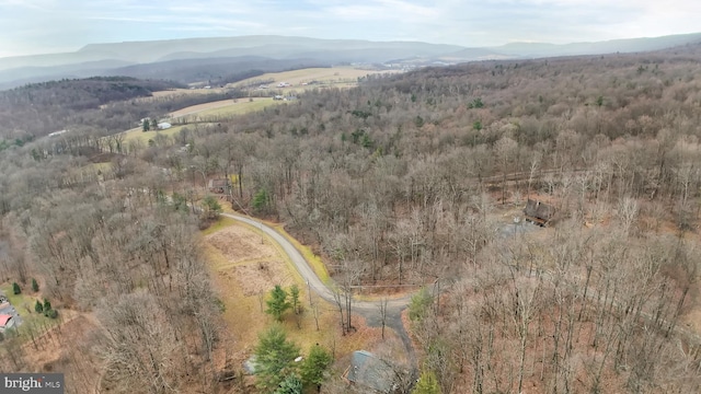 birds eye view of property featuring a mountain view