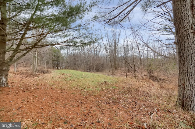 view of local wilderness