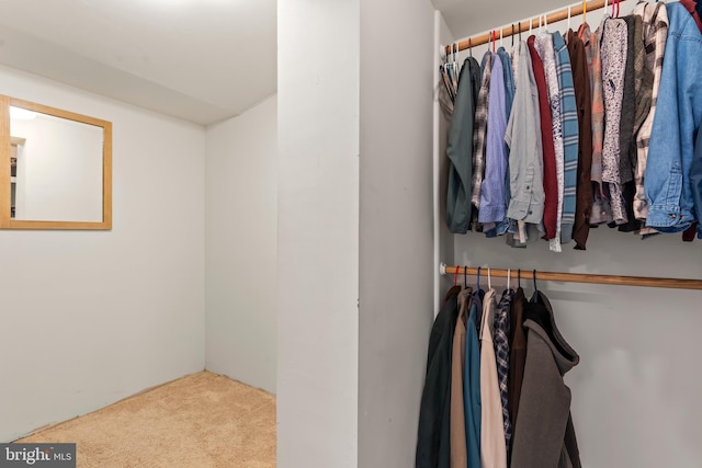 walk in closet featuring carpet