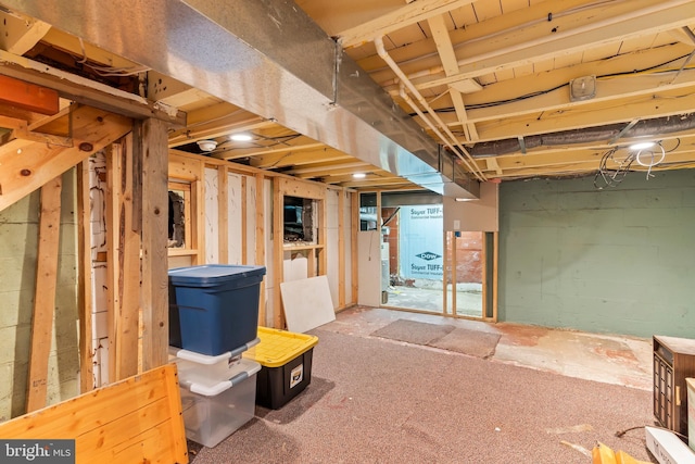 basement with carpet flooring