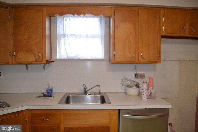 kitchen with sink and stainless steel dishwasher