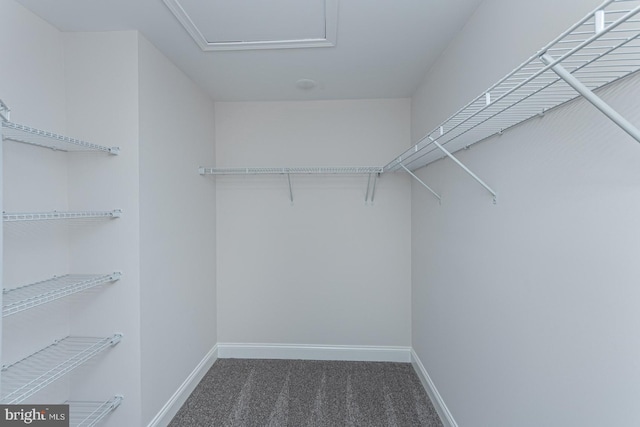 spacious closet with dark carpet