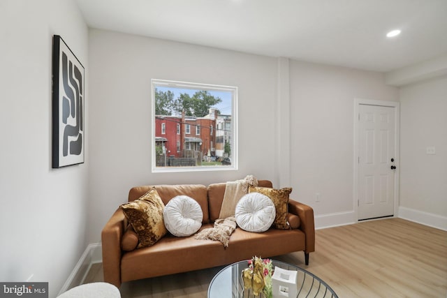 living room with light hardwood / wood-style floors