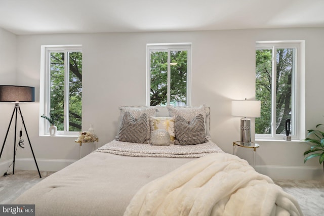 bedroom featuring carpet floors and multiple windows